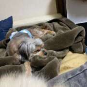 ヒメ日記 2025/05/31 12:04 投稿 せいら チェックイン横浜女学園