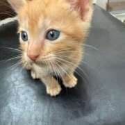 ヒメ日記 2025/06/06 10:15 投稿 せいら チェックイン横浜女学園