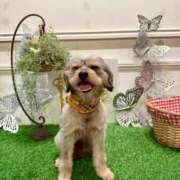 ヒメ日記 2025/08/22 04:28 投稿 せいら チェックイン横浜女学園