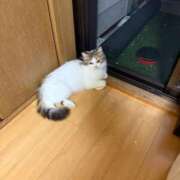 ヒメ日記 2025/09/18 12:17 投稿 せいら チェックイン横浜女学園