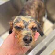 ヒメ日記 2025/09/22 02:10 投稿 せいら チェックイン横浜女学園