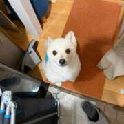 ヒメ日記 2025/10/04 12:03 投稿 せいら チェックイン横浜女学園