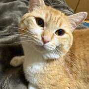 ヒメ日記 2025/10/09 15:19 投稿 せいら チェックイン横浜女学園