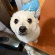 ヒメ日記 2025/10/27 11:55 投稿 せいら チェックイン横浜女学園