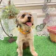 ヒメ日記 2025/11/20 12:26 投稿 せいら チェックイン横浜女学園