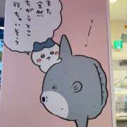 ヒメ日記 2025/12/01 01:50 投稿 せいら チェックイン横浜女学園