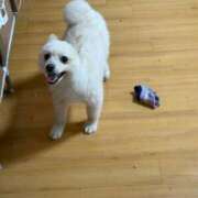 ヒメ日記 2025/12/01 11:49 投稿 せいら チェックイン横浜女学園