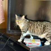 ヒメ日記 2025/12/07 11:41 投稿 せいら チェックイン横浜女学園