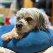 せいら こんにちは😊 チェックイン横浜女学園