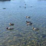 ヒメ日記 2025/12/18 11:29 投稿 せいら チェックイン横浜女学園