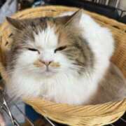 ヒメ日記 2025/12/27 11:25 投稿 せいら チェックイン横浜女学園