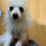 ヒメ日記 2025/12/29 01:24 投稿 せいら チェックイン横浜女学園