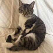 ヒメ日記 2026/02/02 10:04 投稿 せいら チェックイン横浜女学園