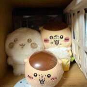 ヒメ日記 2026/02/03 11:53 投稿 せいら チェックイン横浜女学園