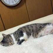 ヒメ日記 2026/02/15 11:30 投稿 せいら チェックイン横浜女学園