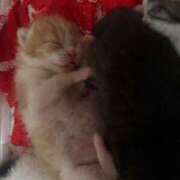 せいら オハヨォ！！ チェックイン横浜女学園