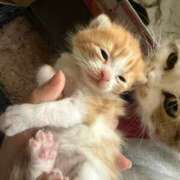 せいら おはよう☀️ チェックイン横浜女学園