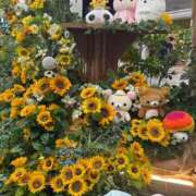 せいら こんにちは✨️ チェックイン横浜女学園