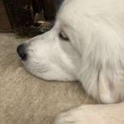 ヒメ日記 2025/05/31 18:05 投稿 ゆう エロティックマッサージ 錦糸町