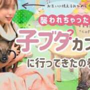 ヒメ日記 2025/02/13 20:23 投稿 Hime LUXURY（ラグジュアリー）