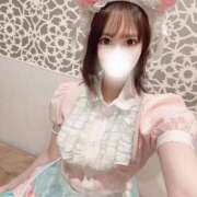 ヒメ日記 2024/12/29 16:46 投稿 りんご アリスカフェ