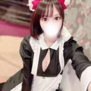 ヒメ日記 2025/03/08 15:01 投稿 りんご アリスカフェ