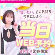 ヒメ日記 2025/04/02 21:01 投稿 りんご アリスカフェ