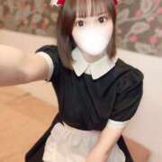 ヒメ日記 2025/04/13 14:30 投稿 りんご アリスカフェ