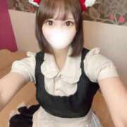 ヒメ日記 2025/04/26 16:01 投稿 りんご アリスカフェ