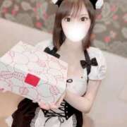 ヒメ日記 2025/05/06 14:30 投稿 りんご アリスカフェ