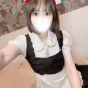 ヒメ日記 2025/06/27 17:30 投稿 りんご アリスカフェ