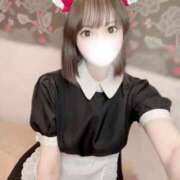 ヒメ日記 2025/06/30 17:00 投稿 りんご アリスカフェ