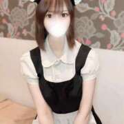 ヒメ日記 2025/07/06 20:00 投稿 りんご アリスカフェ