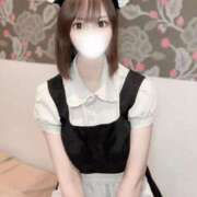 ヒメ日記 2025/07/08 14:01 投稿 りんご アリスカフェ