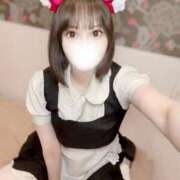 ヒメ日記 2025/07/12 17:01 投稿 りんご アリスカフェ