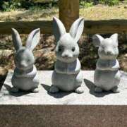 ヒメ日記 2025/07/16 17:01 投稿 りんご アリスカフェ