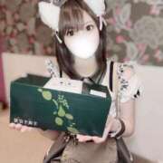 ヒメ日記 2025/07/28 14:01 投稿 りんご アリスカフェ