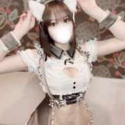 ヒメ日記 2025/07/31 14:01 投稿 りんご アリスカフェ