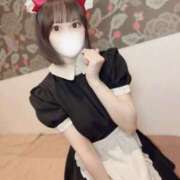 ヒメ日記 2025/08/09 20:00 投稿 りんご アリスカフェ