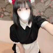 ヒメ日記 2025/08/29 16:00 投稿 りんご アリスカフェ