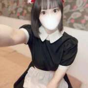 ヒメ日記 2025/09/01 17:01 投稿 りんご アリスカフェ