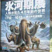 ヒメ日記 2025/09/18 21:02 投稿 りんご アリスカフェ