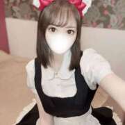 ヒメ日記 2025/11/01 16:00 投稿 りんご アリスカフェ