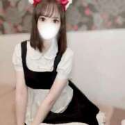 ヒメ日記 2025/11/03 14:01 投稿 りんご アリスカフェ