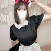 ヒメ日記 2026/01/11 16:01 投稿 りんご アリスカフェ