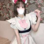 ヒメ日記 2026/02/08 14:01 投稿 りんご アリスカフェ