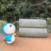 ヒメ日記 2026/02/17 17:30 投稿 りんご アリスカフェ