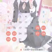 ヒメ日記 2026/03/07 20:30 投稿 りんご アリスカフェ