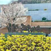 ヒメ日記 2026/04/02 19:00 投稿 りんご アリスカフェ