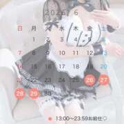 ヒメ日記 2026/06/14 21:00 投稿 りんご アリスカフェ